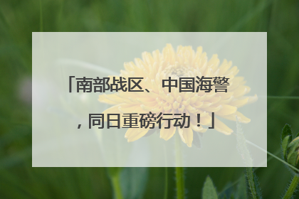 南部战区、中国海警，同日重磅行动！
