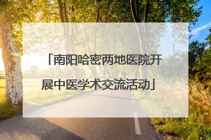 南阳哈密两地医院开展中医学术交流活动