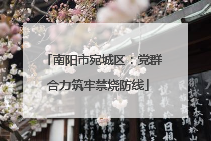 南阳市宛城区：党群合力筑牢禁烧防线