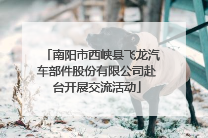 南阳市西峡县飞龙汽车部件股份有限公司赴台开展交流活动