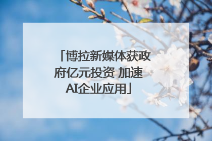 博拉新媒体获政府亿元投资 加速AI企业应用