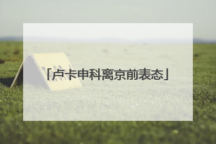 卢卡申科离京前表态