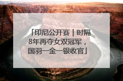 印尼公开赛｜时隔8年再夺女双冠军，国羽一金一银收官