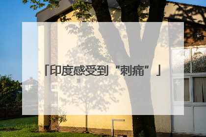 印度感受到“刺痛”