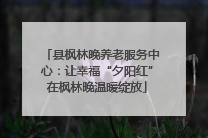 县枫林晚养老服务中心：让幸福“夕阳红”在枫林晚温暖绽放