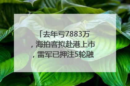 去年亏7883万，海拍客拟赴港上市，雷军已押注5轮融资｜IPO直通车