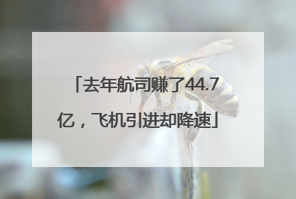 去年航司赚了44.7亿，飞机引进却降速
