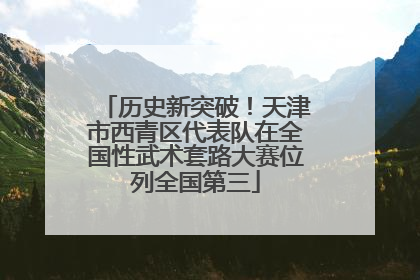 历史新突破！天津市西青区代表队在全国性武术套路大赛位列全国第三