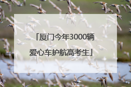厦门今年3000辆爱心车护航高考生