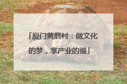 厦门黄厝村：做文化的梦，享产业的福