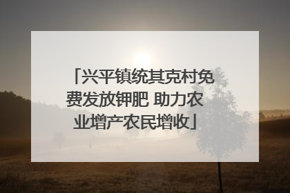 兴平镇统其克村免费发放钾肥 助力农业增产农民增收