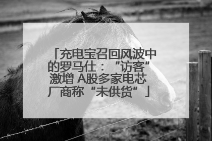 充电宝召回风波中的罗马仕：“访客”激增 A股多家电芯厂商称“未供货”