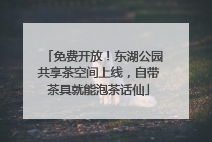 免费开放！东湖公园共享茶空间上线，自带茶具就能泡茶话仙