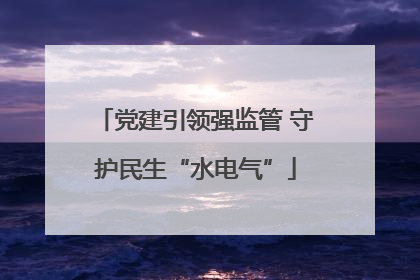 党建引领强监管 守护民生“水电气”