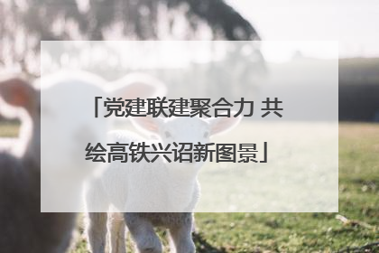 党建联建聚合力 共绘高铁兴诏新图景