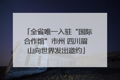 全省唯一入驻“国际合作馆”市州 四川眉山向世界发出邀约