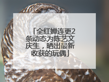 全红婵连更2条动态为陈艺文庆生，晒出最新收获的玩偶