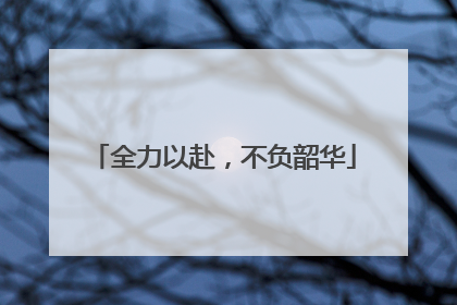 全力以赴，不负韶华