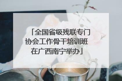 全国省级残联专门协会工作骨干培训班在广西南宁举办