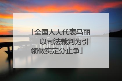 全国人大代表马丽——以司法裁判为引领做实定分止争