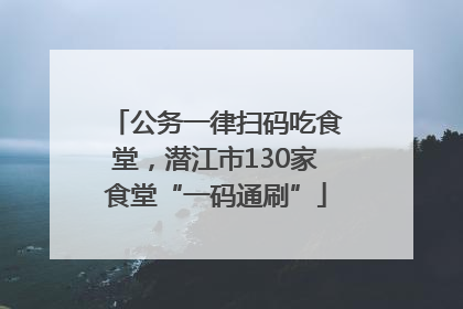 公务一律扫码吃食堂，潜江市130家食堂“一码通刷”