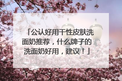 公认好用干性皮肤洗面奶推荐，什么牌子的洗面奶好用，建议！