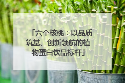 六个核桃：以品质筑基、创新领航的植物蛋白饮品标杆