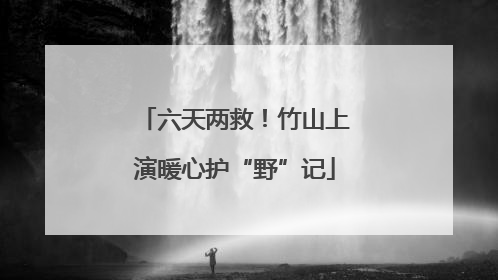 六天两救！竹山上演暖心护“野”记