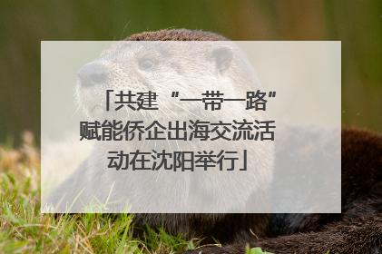 共建“一带一路”赋能侨企出海交流活动在沈阳举行