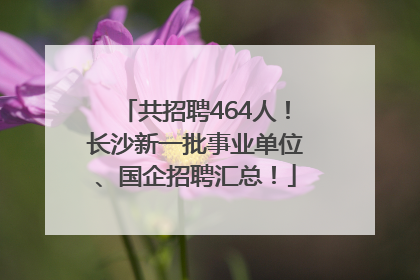 共招聘464人！长沙新一批事业单位、国企招聘汇总！