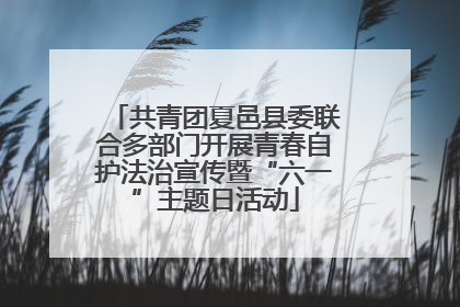 共青团夏邑县委联合多部门开展青春自护法治宣传暨“六一”主题日活动