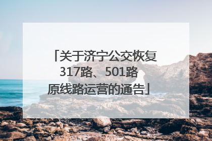 关于济宁公交恢复317路、501路原线路运营的通告