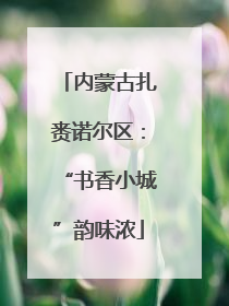 内蒙古扎赉诺尔区：“书香小城”韵味浓