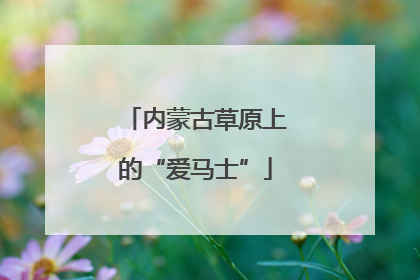 内蒙古草原上的“爱马士”