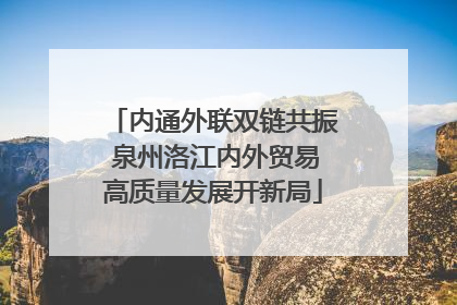 内通外联双链共振 泉州洛江内外贸易高质量发展开新局