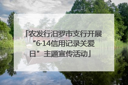 农发行汨罗市支行开展“6·14信用记录关爱日”主题宣传活动