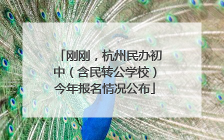 刚刚，杭州民办初中（含民转公学校）今年报名情况公布