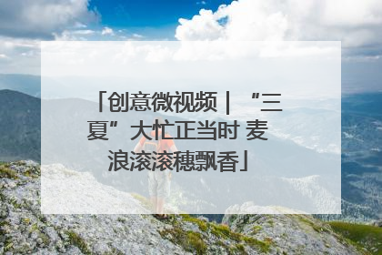 创意微视频｜“三夏”大忙正当时 麦浪滚滚穗飘香