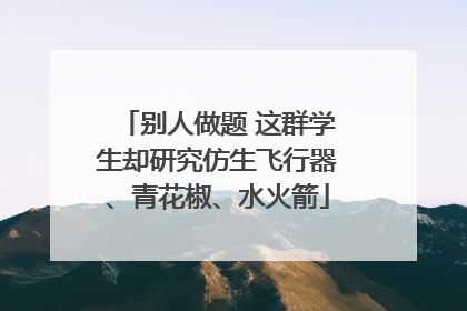 别人做题 这群学生却研究仿生飞行器、青花椒、水火箭