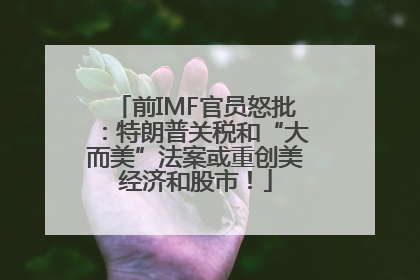 前IMF官员怒批：特朗普关税和“大而美”法案或重创美经济和股市！