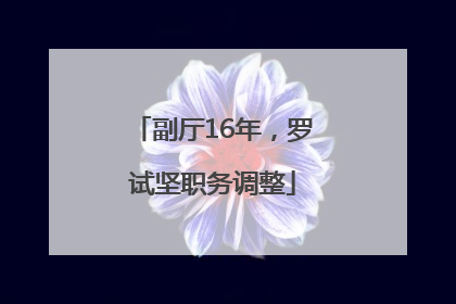 副厅16年，罗试坚职务调整