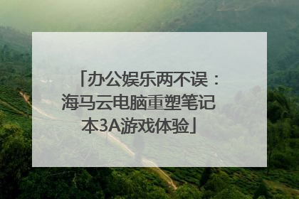 办公娱乐两不误：海马云电脑重塑笔记本3A游戏体验