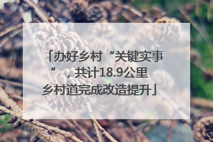 办好乡村“关键实事”，共计18.9公里乡村道完成改造提升