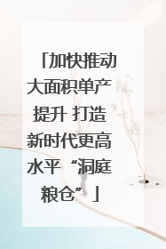 加快推动大面积单产提升 打造新时代更高水平“洞庭粮仓”