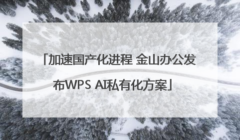 加速国产化进程 金山办公发布WPS AI私有化方案