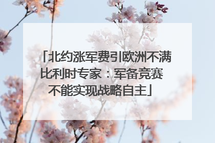北约涨军费引欧洲不满 比利时专家：军备竞赛不能实现战略自主