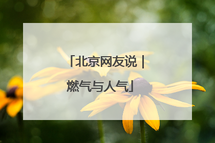 北京网友说｜燃气与人气