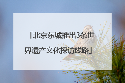 北京东城推出3条世界遗产文化探访线路