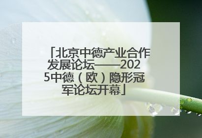 北京中德产业合作发展论坛——2025中德（欧）隐形冠军论坛开幕