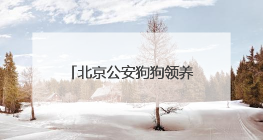 北京公安狗狗领养文案“火出圈”！心动之后，如何行动？我们打听了